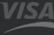 VISA Logo